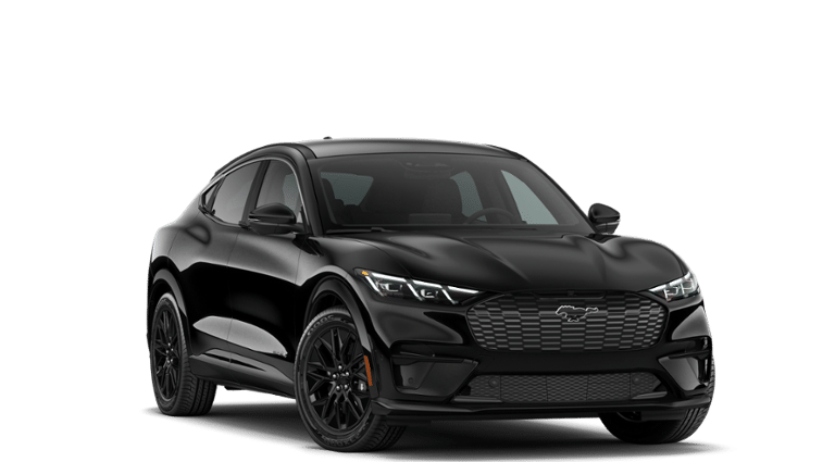 Mustang Mach-E® vehicle